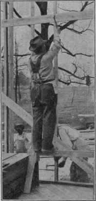 Fig. 35. Setting up Studs and Attaching to Ribbon Board