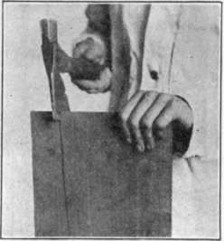 Fig. 1. Splits Easiest Along the Grain