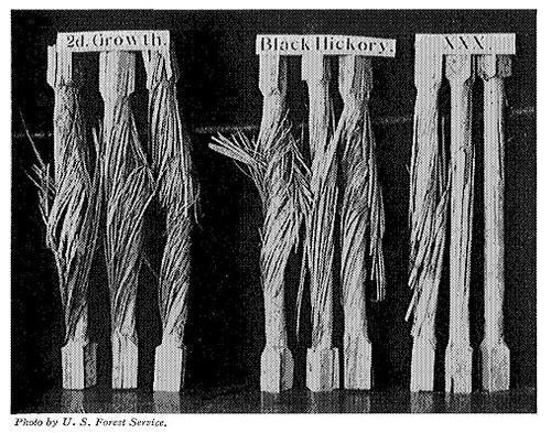 Figure 20