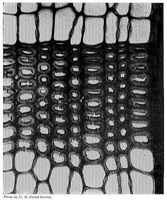 Figure 25