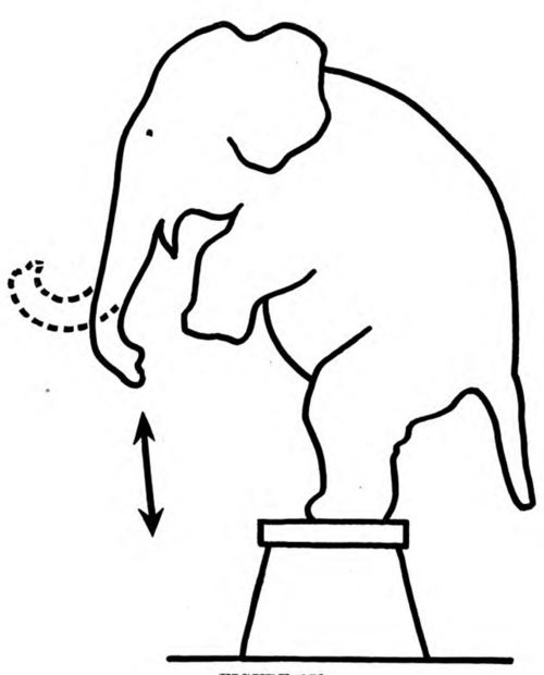 How To Whittle Circus Days Elephants and Ringmaste 201
