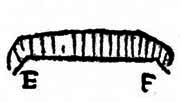 Register marks