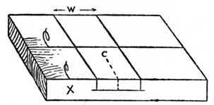 Fig. 63.   How the Timber is Marked.