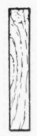 End view.