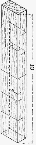 Fig. 181.