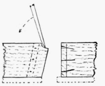 Fig. 206