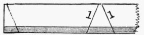 Fig. 244.