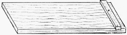 Fig. 303.