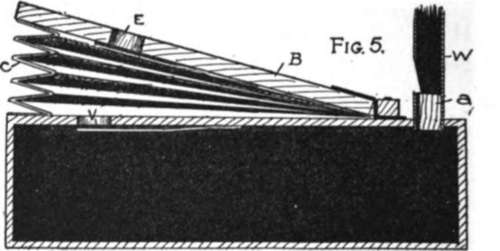 Section Showing Valves