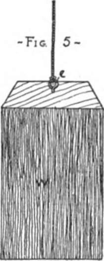 pendulam