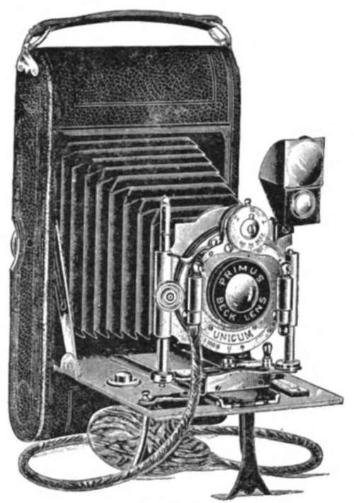 Camera back