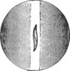 Iris diaphragm