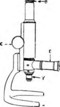 eyepiece