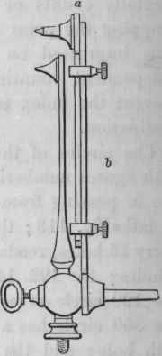 Counting Index 400113