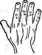  The Elementary Hand.