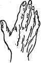 The Philosophic Hand.