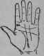 I Lines And Signs On The Mount Of Jupiter 57