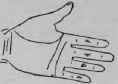 Lines And Signs II On All The Fingers 1027