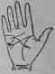 Temporary Insanity Caused By A Great Love 390