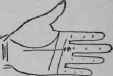 The Line Of Fate VII Signs 827