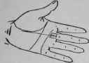 The Line Of Fate VII Signs 829