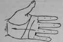 The Line Of The Sun VII Signs 920