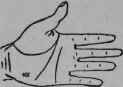 Three Times Saved From Drowning 197