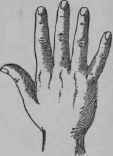 VI The Elementary Hand 37