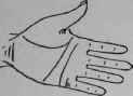 VII Signs 754