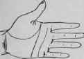 VII Signs 755