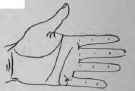 VII Signs 758