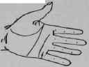 VII Signs 759