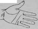 VII Signs 760