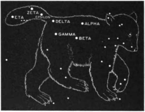The Constellation Of The Great Bear Or Ursa Major 125