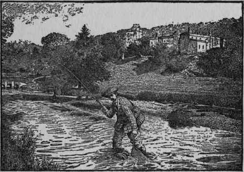 Of American Marine And Freshwater Gamefish In Thei 91
