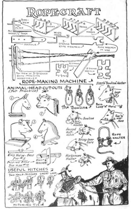 Make His Own Sturdy Rope Halter