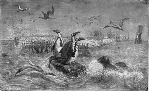 SEAL HUNTING.