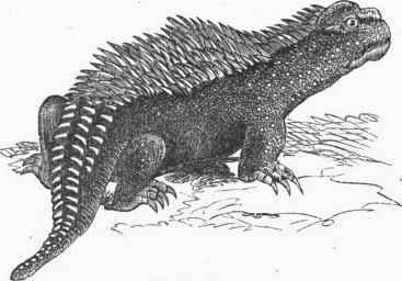 Hylaeosaurus.