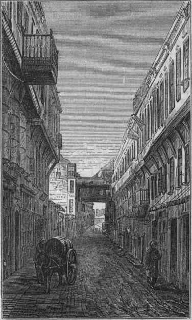 A Modern Street in Cairo.