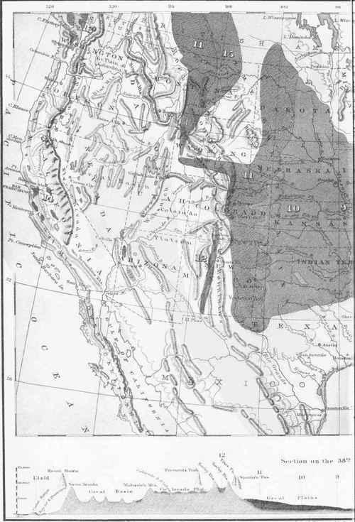 Coal 0400356