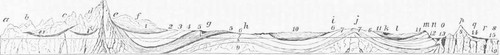 Coal 0400361
