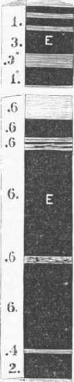 E, or Mammoth.