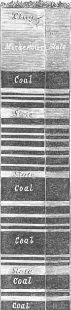 Section of Mammoth, from the open quarry at the Summit Mines, Le hfeh.