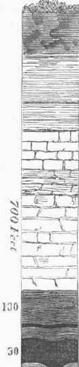 Vertical Section, S. side of Richmond Coal Field.