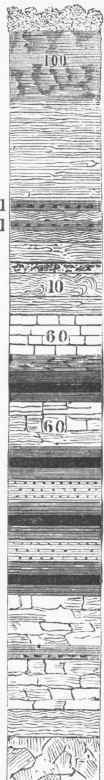 Vortical Section. N. side of Richmond Coal Field.