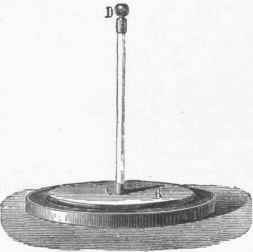 Electrophorus.