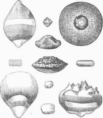 Different Forms of Hail.
