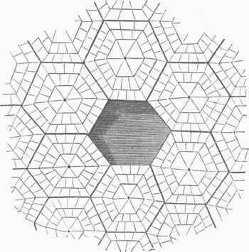 Section of Hailstone, magnified.
