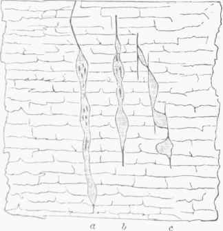 Gash Viens filled with Lead Ore Galena Lime stone.