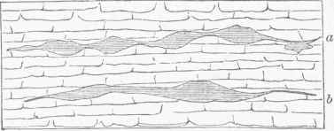 Horizontal Gash Veins or Floors of Lead in Galena Limestone, a. Crevice with pocket opening, b. Crevice opening.
